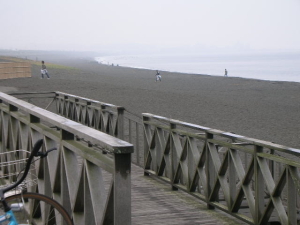 �r�[�`�N���[��