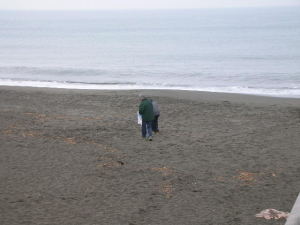 �r�[�`�N���[��