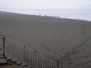 �r�[�`�N���[��