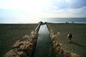 �r�[�`�N���[��