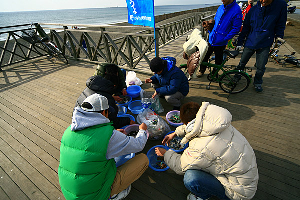 �r�[�`�N���[��