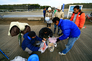 �r�[�`�N���[��