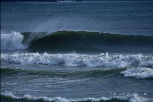 �r�[�`�N���[��