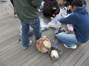 �r�[�`�N���[��